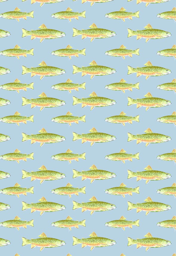 Fish