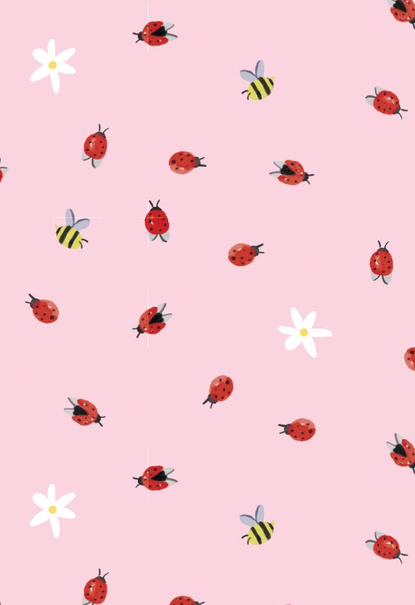 Ladybug