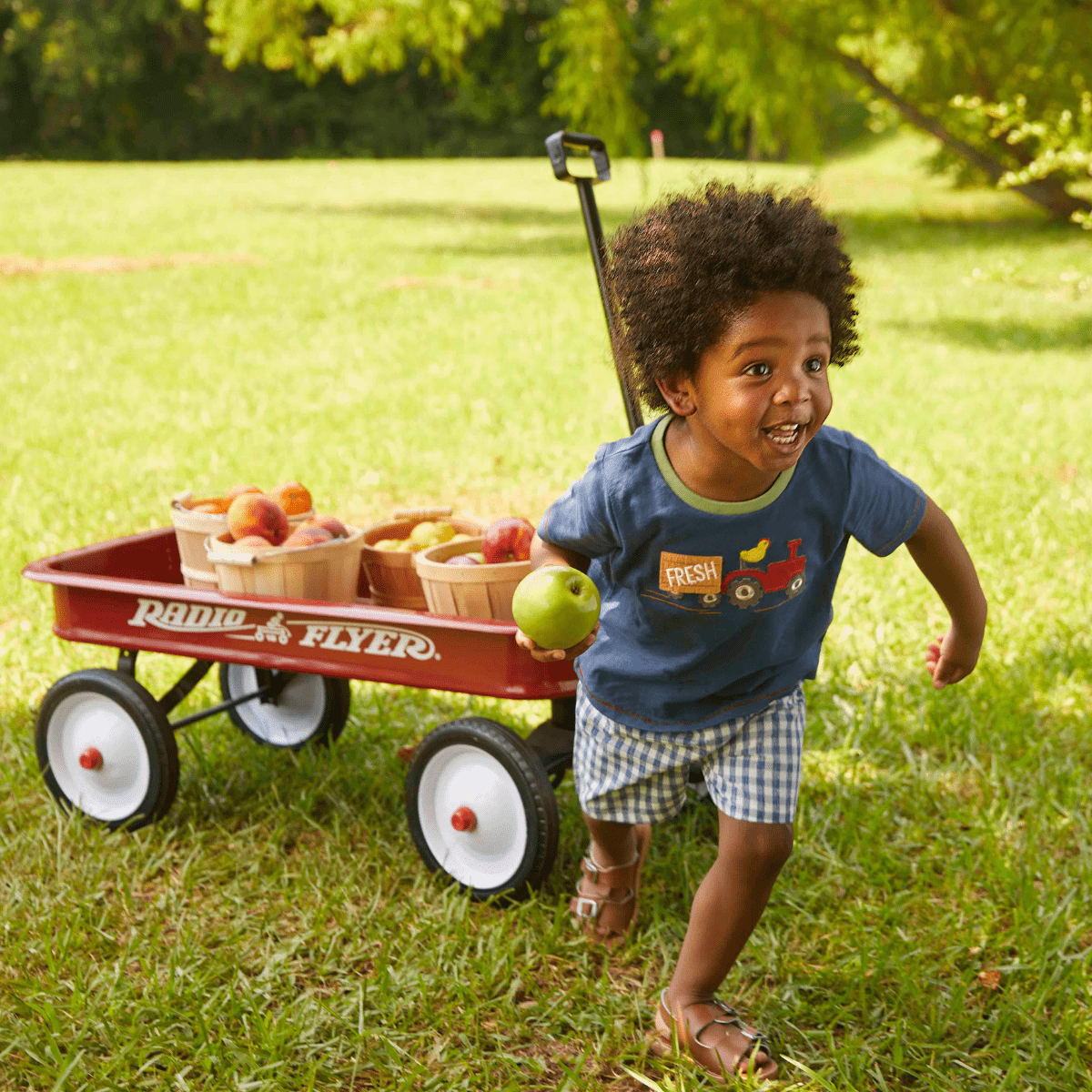 Down on the Farm