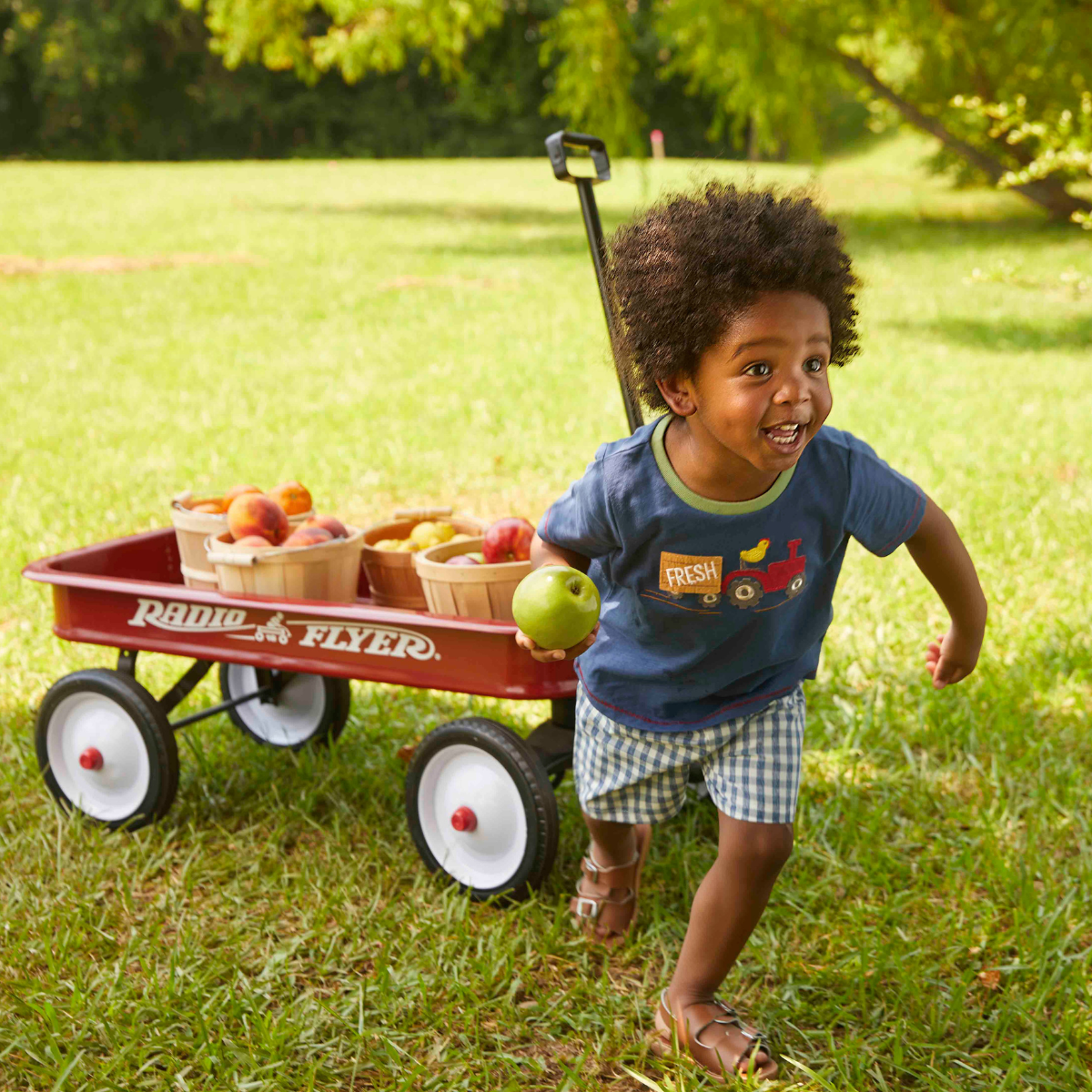 Down on the Farm
