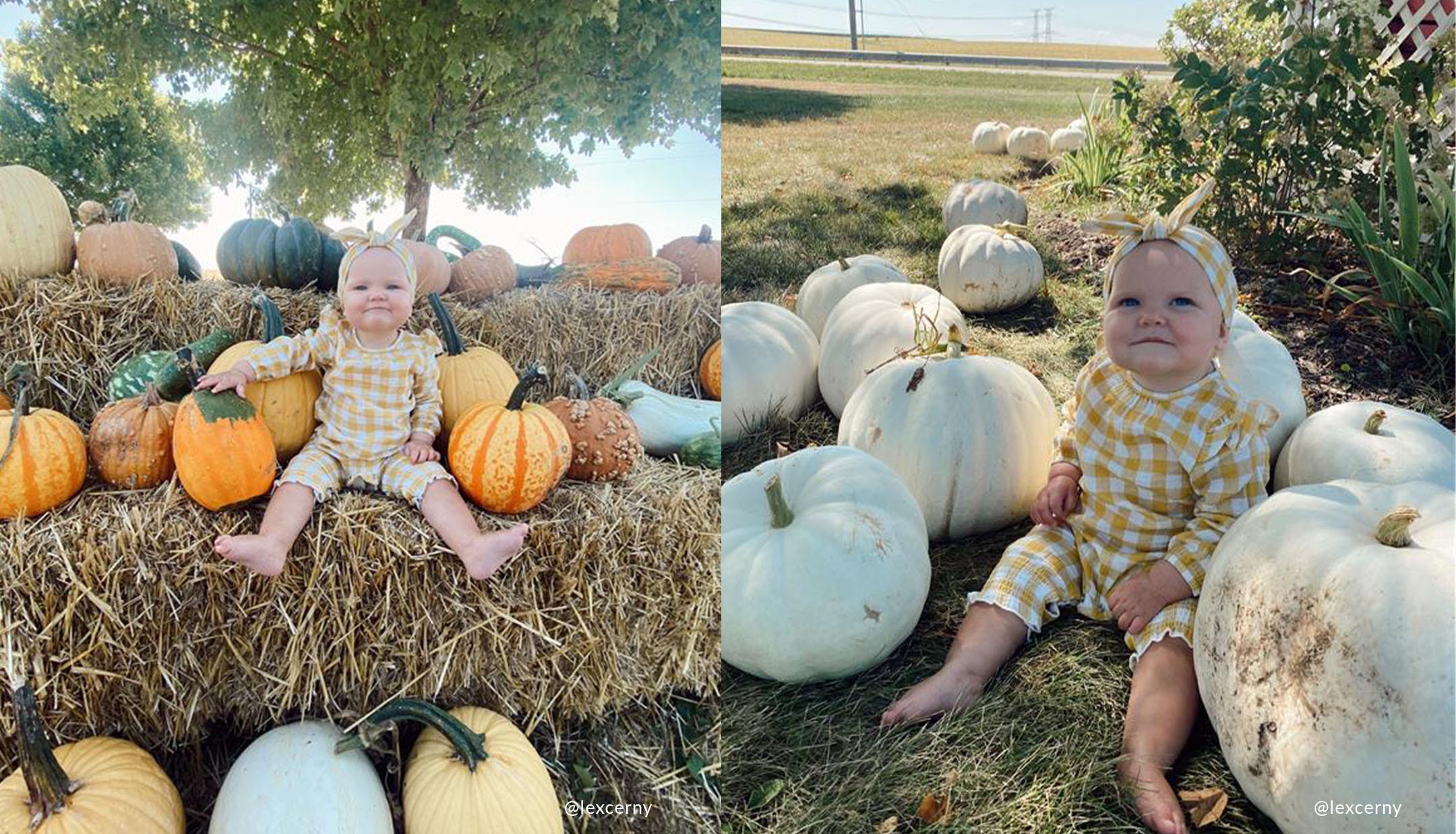 shop all things pumpkin