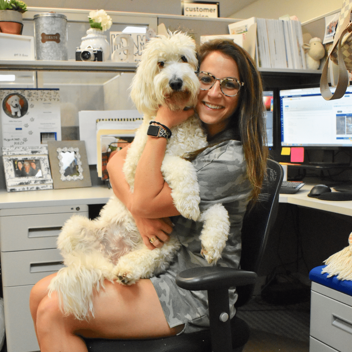 Office Dog