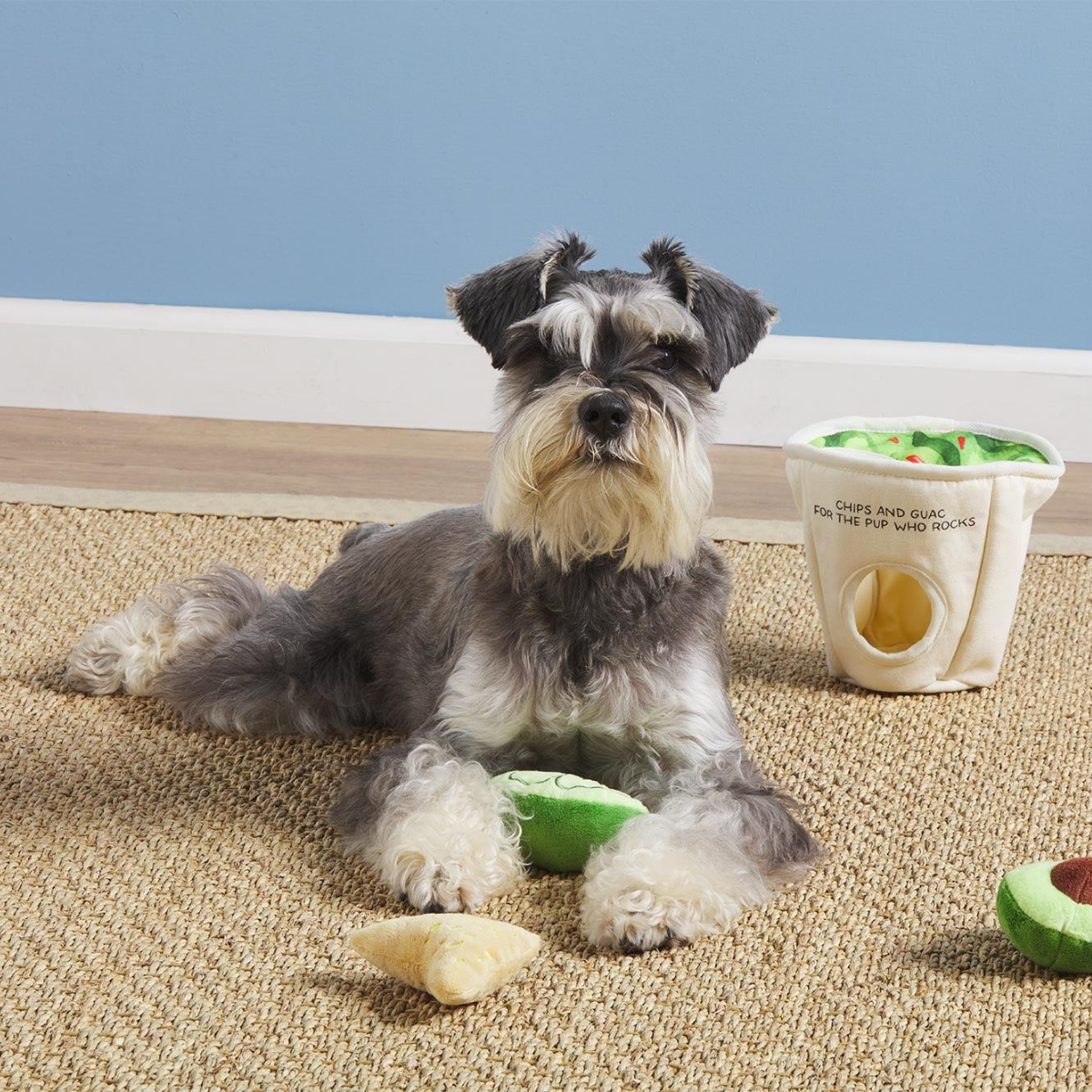 Dog Toys